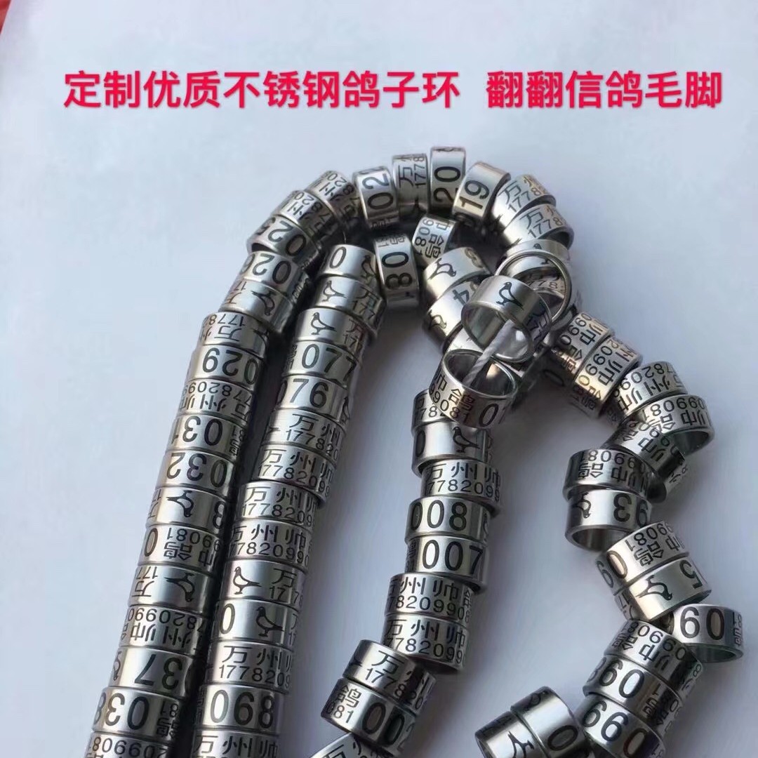 精品不锈钢环鸽用