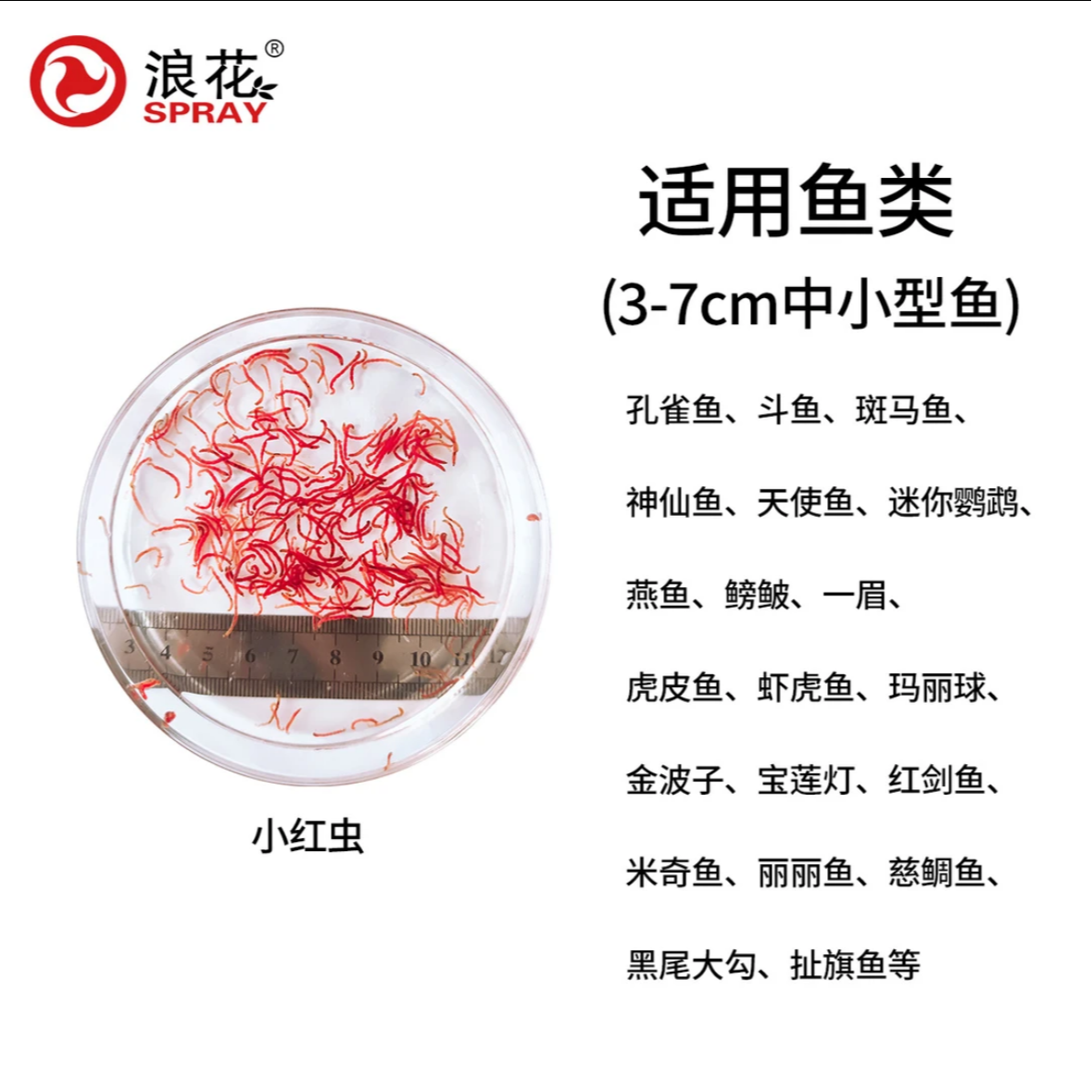 浪花冰冻丰年虾成虫 小红虫 大红虫 干冰发货新鲜到家大小型鱼