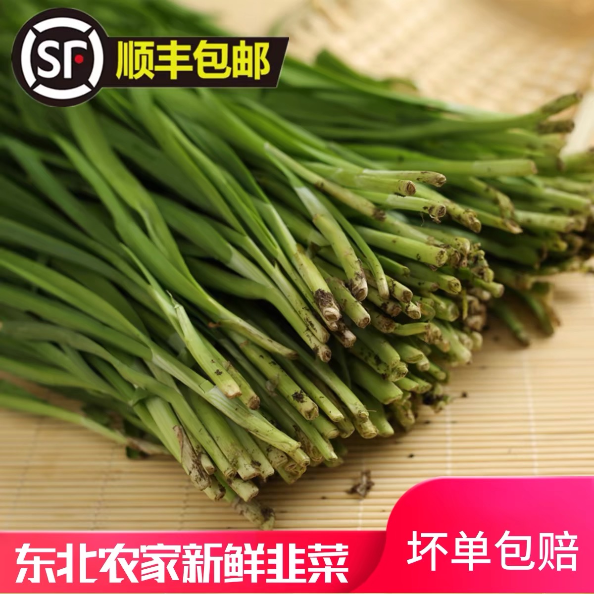 【顺丰】东北韭菜农家自种新鲜现割现发新鲜韭菜