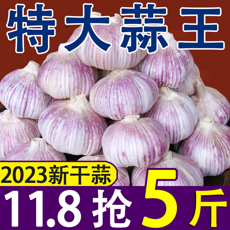 超低价】紫皮干大蒜新蒜干蒜子大蒜头批发3/5/9斤干大蒜头100g