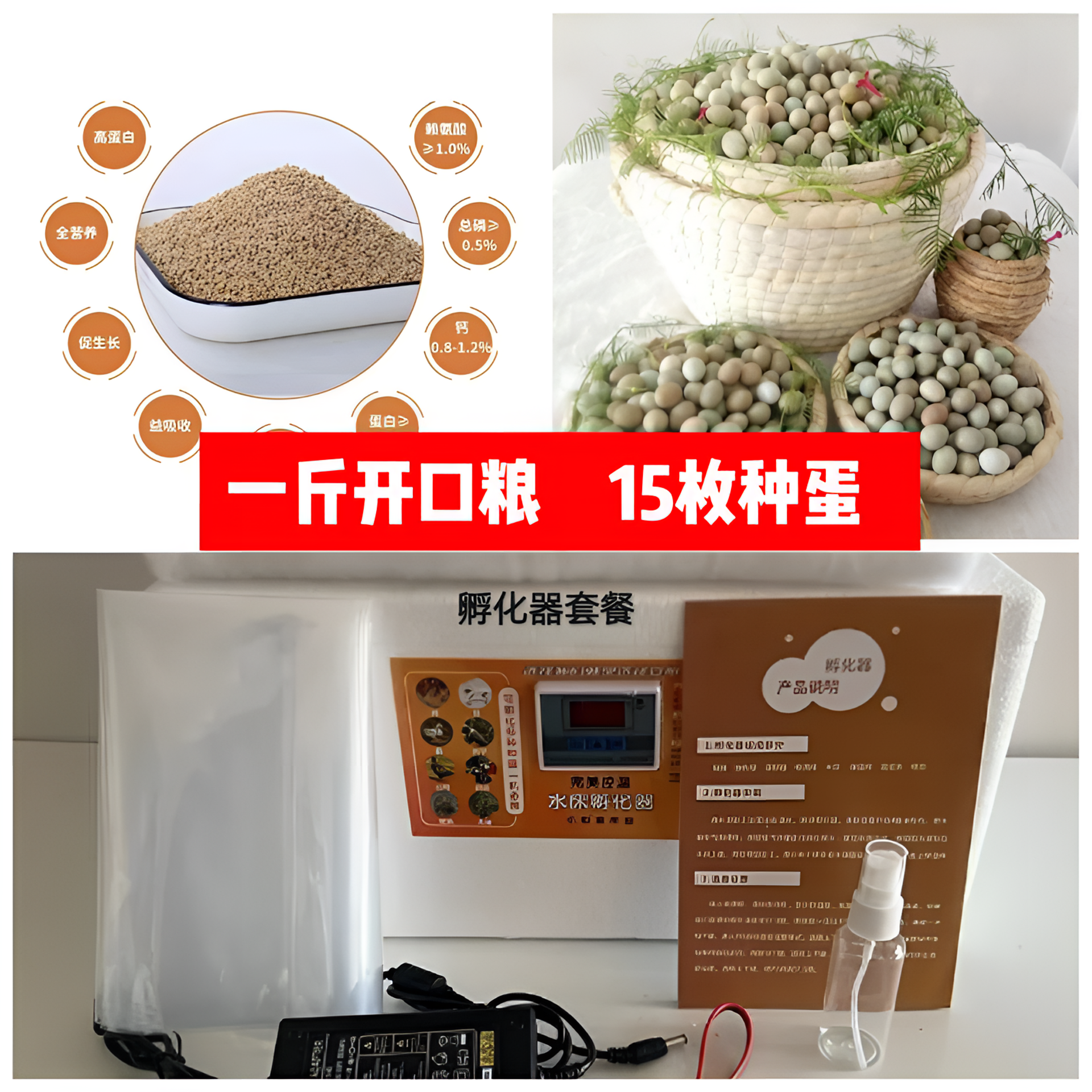 孵化鲜蛋套装【孵化器+15枚芦丁鸡鲜蛋+开口粮1斤+开口药】免费教学
