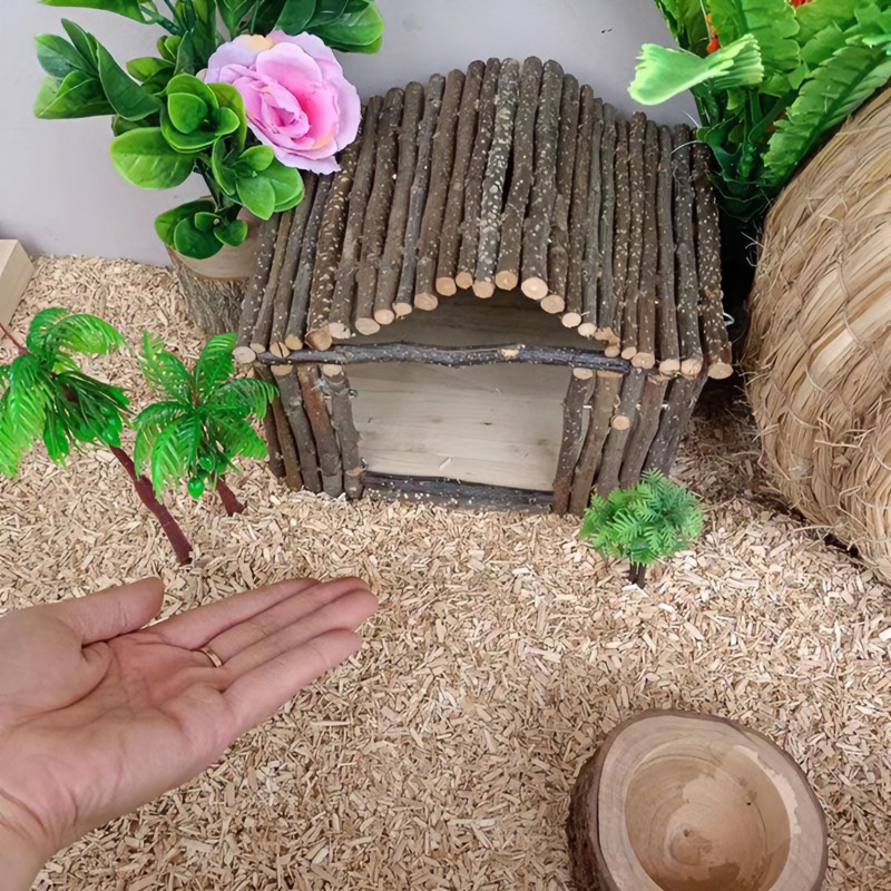 芦丁鸡大房子鸡窝躲避屋金丝熊龙猫松鼠房苹果枝磨牙补钙宠物造景