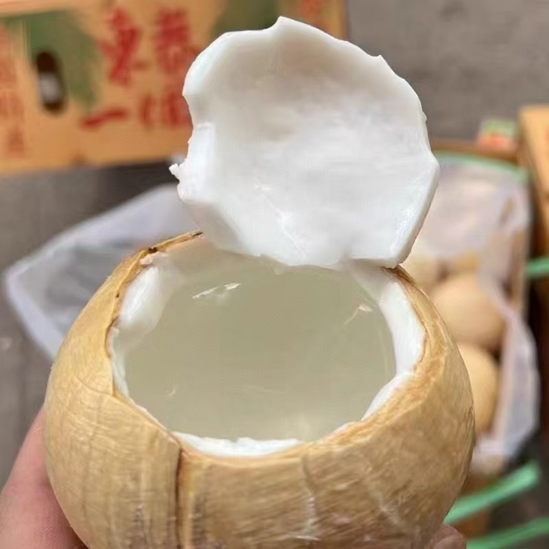 海南老树椰皇椰青4-8个2-4斤（坏果包赔）海南省