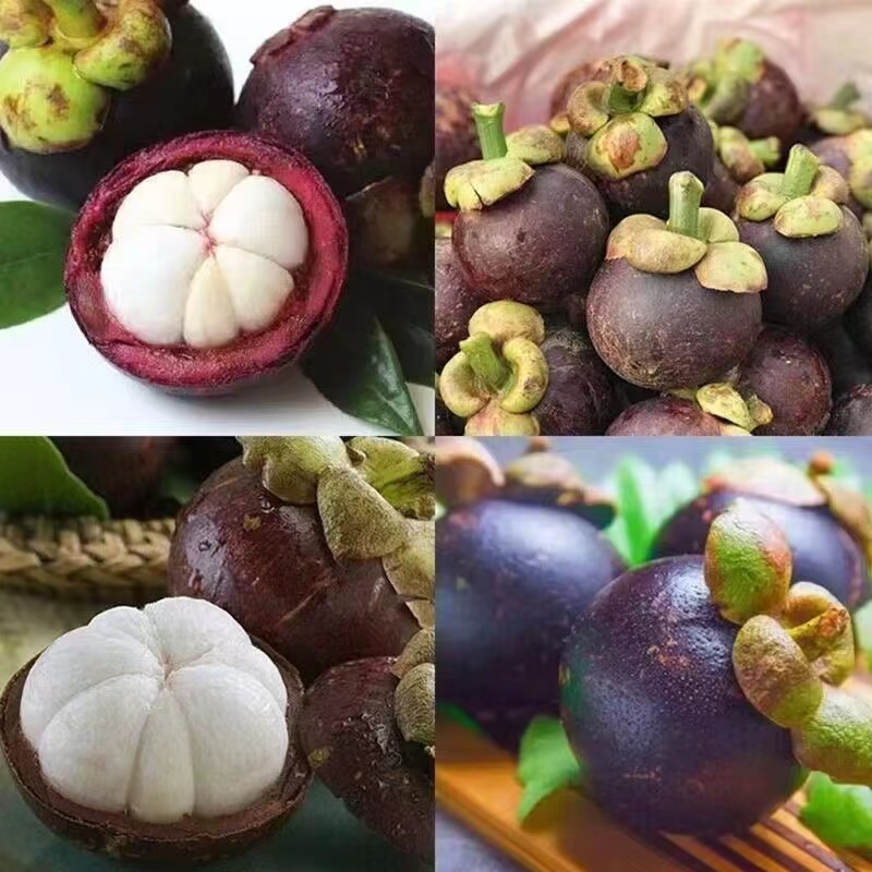 泰国新鲜山竹5A（一斤）