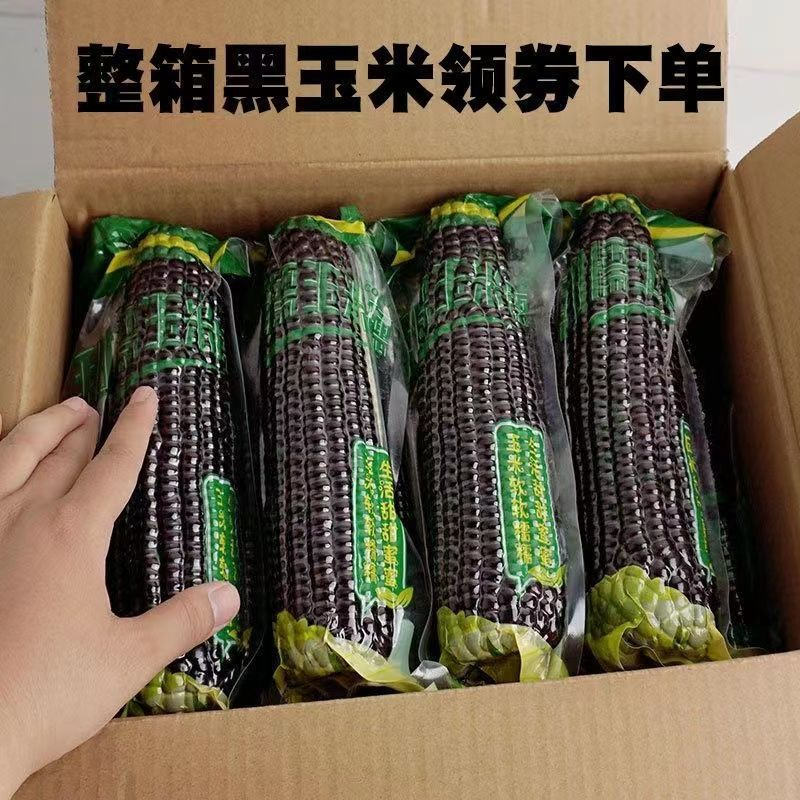 【10根大棒】黑糯玉米东北新鲜粘黏黑玉米熟真空粗粮玉米代餐棒子