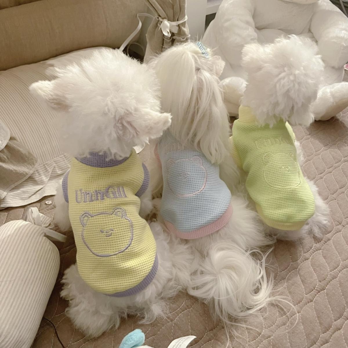 宠物狗狗衣服春秋冬季马尔济斯博美泰迪比熊小型犬小狗防掉毛加厚