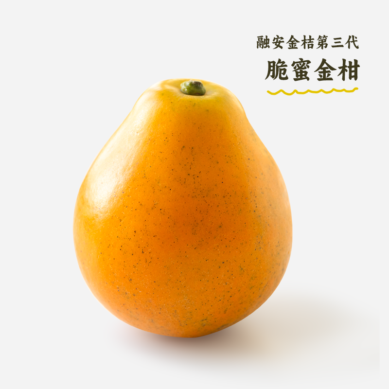 脆蜜金柑 广西融安金桔第三代 脆甜爆汁 蜜甜无籽 礼盒装顺丰