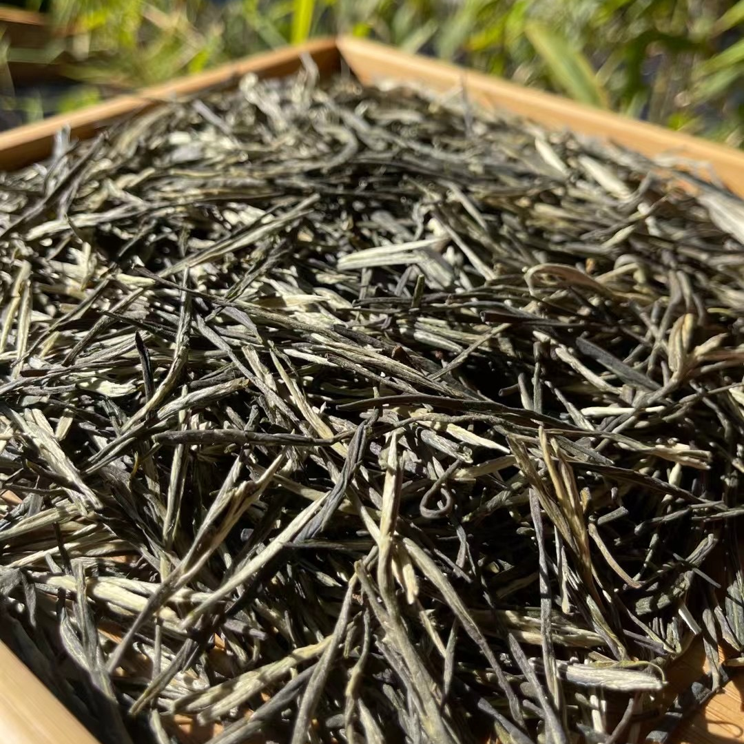 云南绿茶2024年绿茶松针散装称重500g