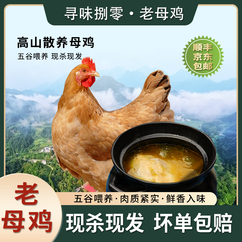 【两只老母鸡】皖南高山散养正宗皖南土鸡汤鲜肉嫩