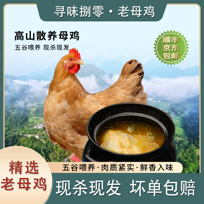 【两只老母鸡】皖南高山散养正宗皖南土鸡汤鲜肉嫩