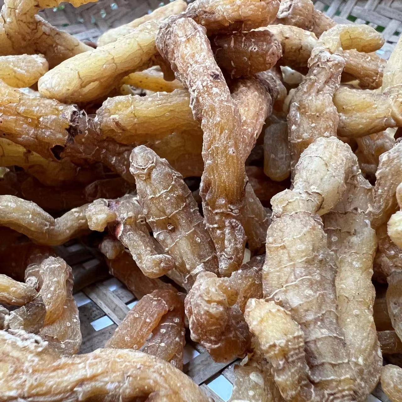 自然生晒 大条无硫靓玉竹  无渣煲汤煲水500g