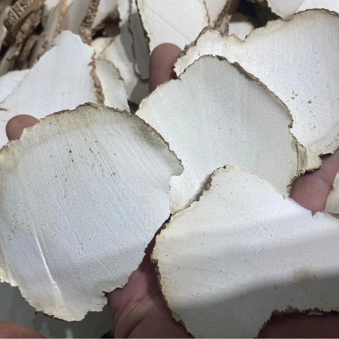 【虎乳菌】深山老林采挖虎奶菌根切片白色干货250g