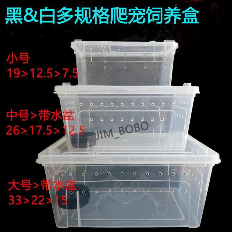 爬宠爬虫蜘蛛饲养盒甲虫蜗牛昆虫蝎子守宫蜥蜴龟蚕宝宝角蛙饲养