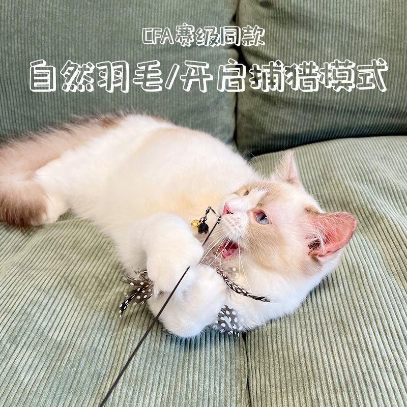 CFA赛级木柄弹簧逗猫猫咪互动自嗨玩具可替换羽毛耐用逗猫用品