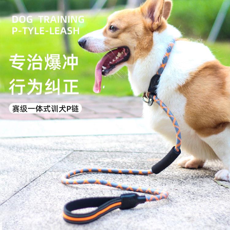 狗狗牵引绳子遛狗p绳P链子宠物训犬柯基毛小中大型犬防爆冲用品