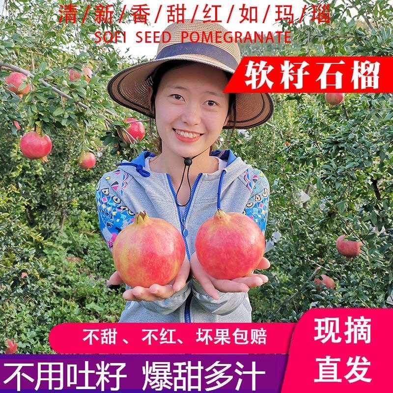 河南河阴突尼斯软籽石榴新鲜现摘整箱新鲜水果