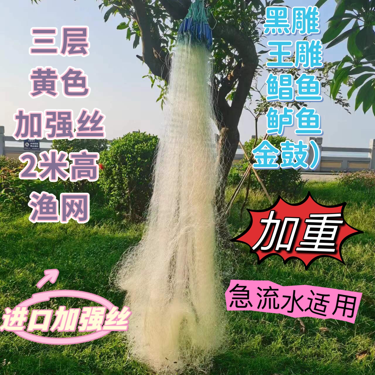 （22）0.19丝三层黄色加强丝高渔网（黑雕 王雕，鲳鱼，鲈鱼 金鼓）