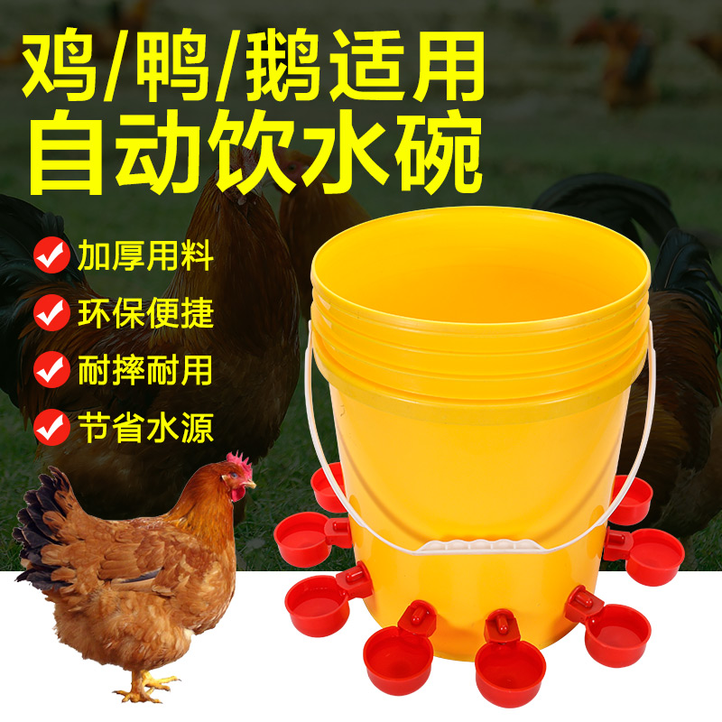 鸡鸭家禽自动饮水器水满自停小鸡饮水碗自动喝水装置
