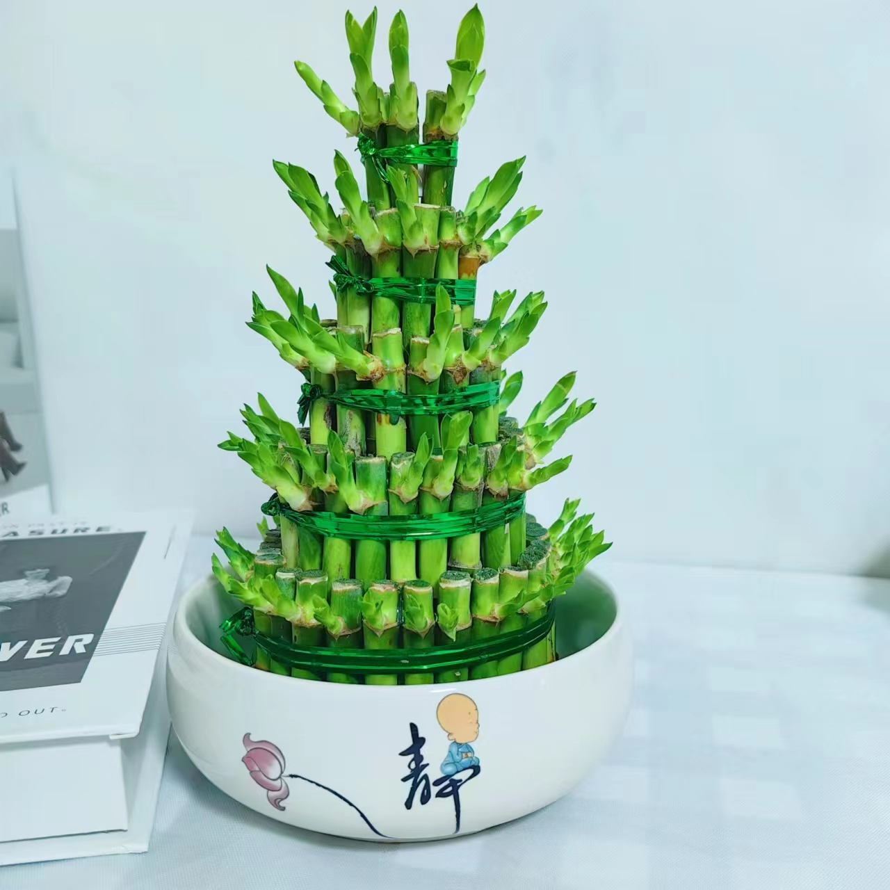 节节高富贵竹水培室内盆栽花卉植物竹塔转运发财竹办公室净化空气