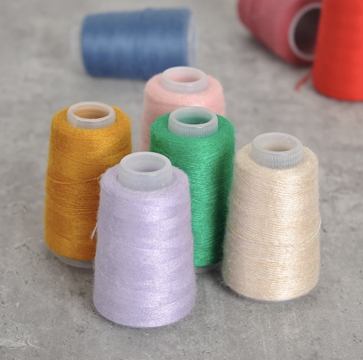 伴侣配线绵羊毛线