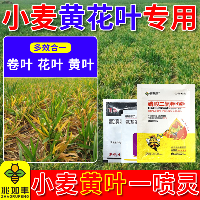 兆如丰小麦黄花叶技术包黄叶卷叶弱苗一喷灵防病增产套装杀菌1