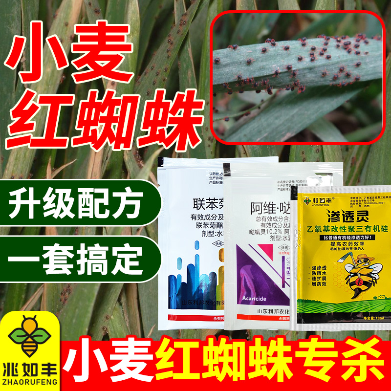 兆如丰小麦红蜘蛛蚜虫专用杀虫组合升级配方耐低温复配杀虫剂1
