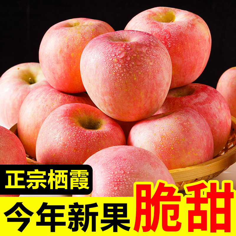 正宗烟台栖霞红富士苹果5-10斤