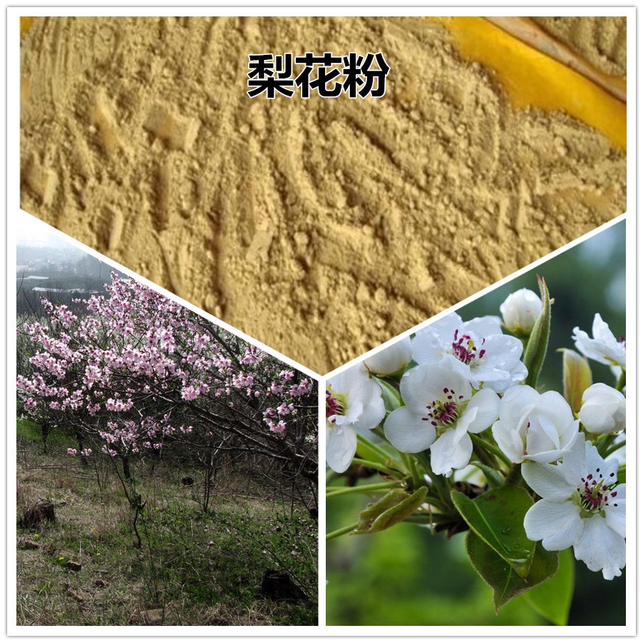 梨树花粉授粉，鸭梨粉，雪梨粉，包邮，20克/包，一亩地或者一万个果