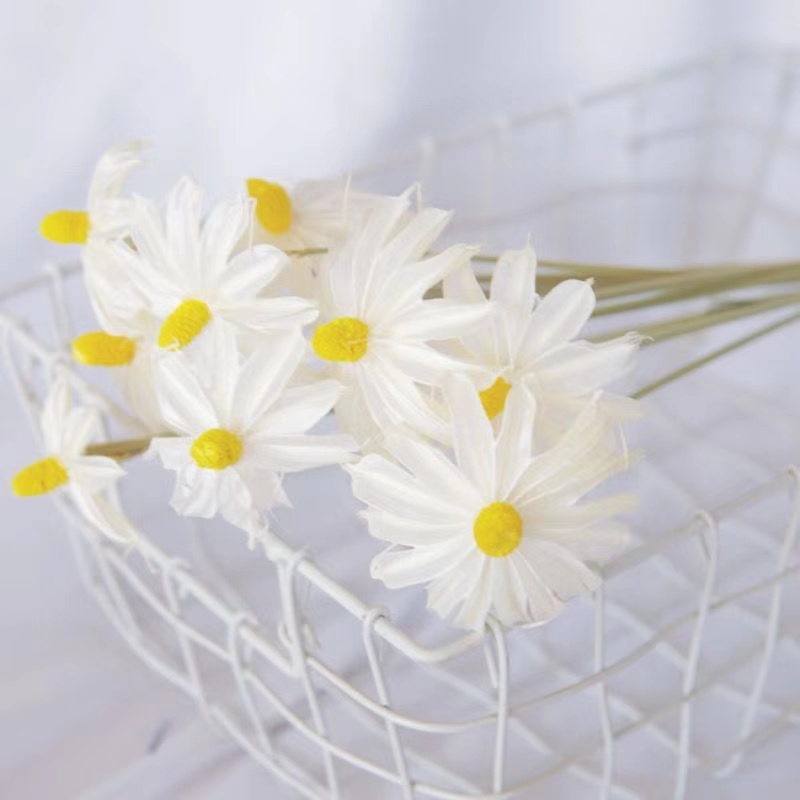 《花园时光专属》文心兰星款紫罗兰真花清新小滨菊制作工艺品装饰