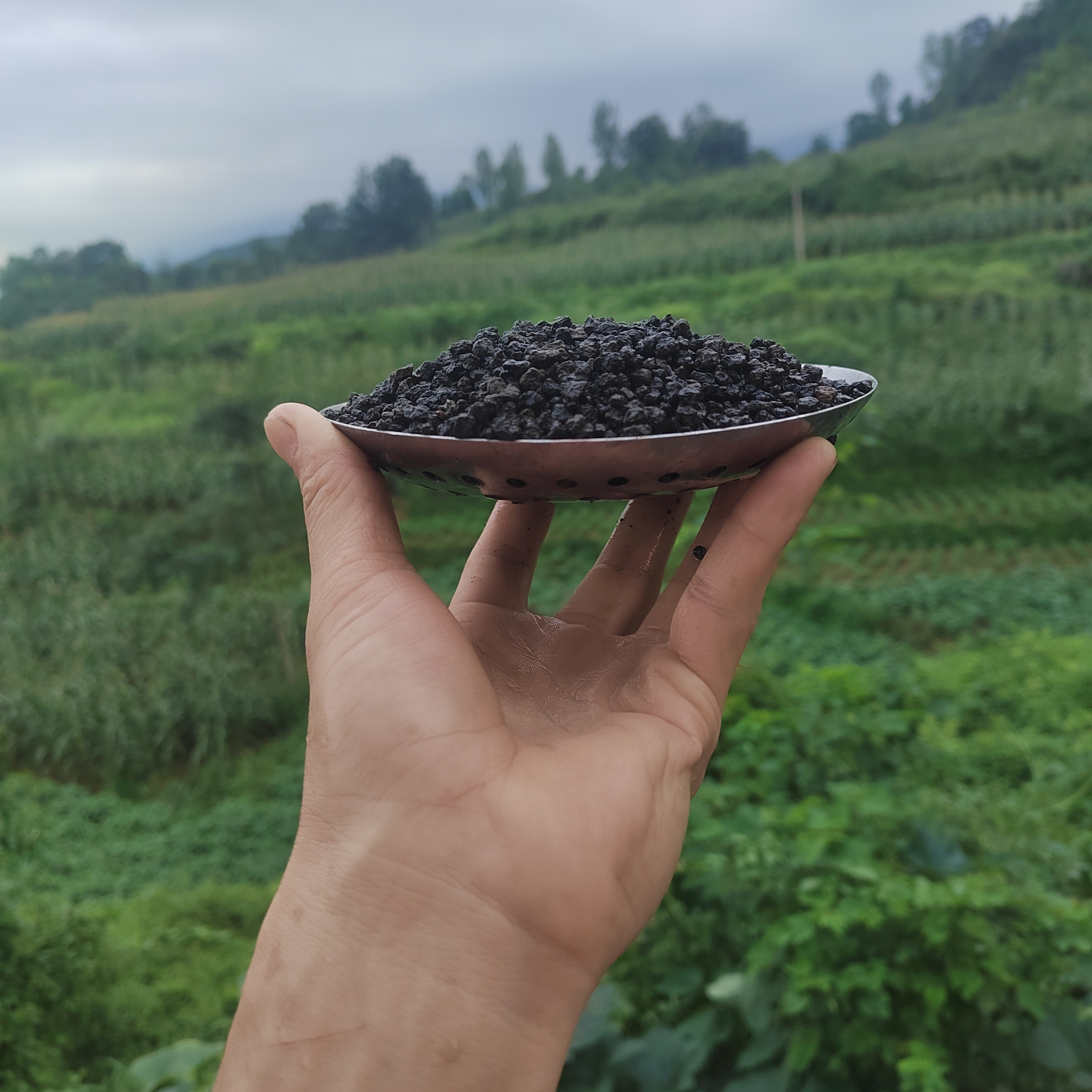 兰菌黑山土，小颗粒，1-3mm，6.6斤装，兰花护茎，盆景种植，苔藓铺面土