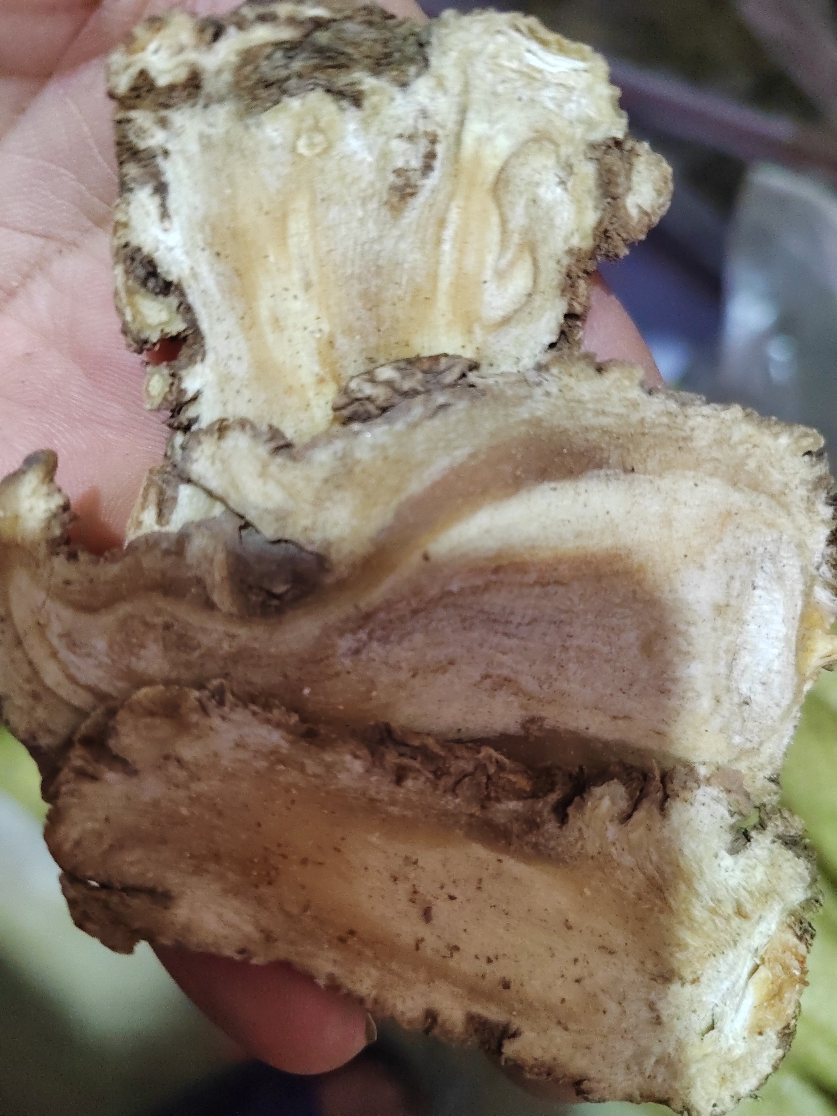 甘肃 当归头片 大 中 小  250g起