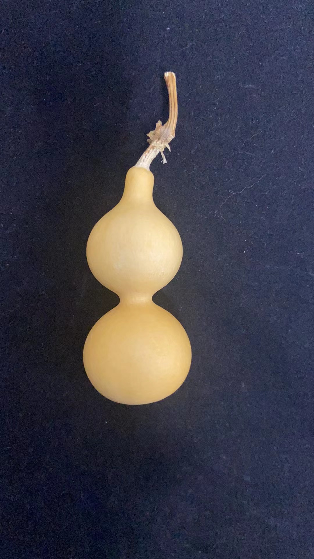 精品葫芦直播间下单专用