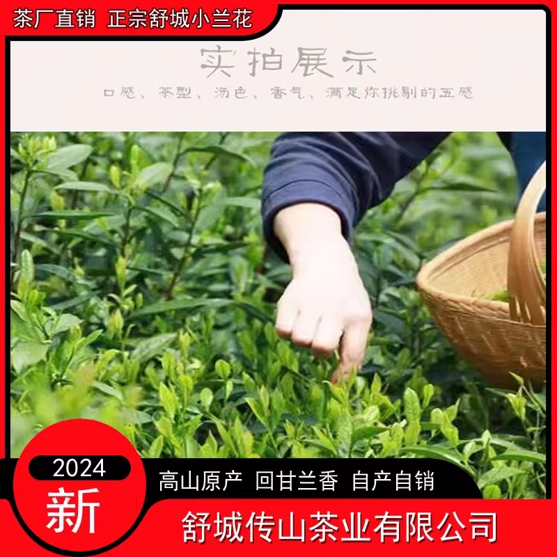  A77 2024年舒城小兰花  一斤加半斤高碎/同款50克/杯子