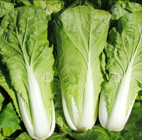 五号白菜 约300g/份