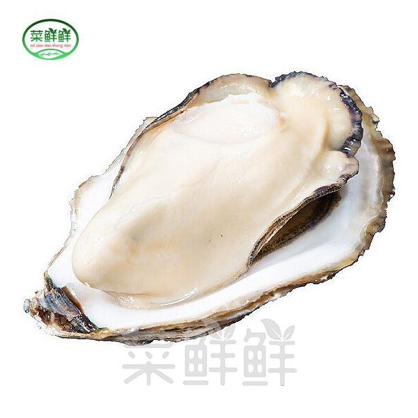 生蚝（1个）