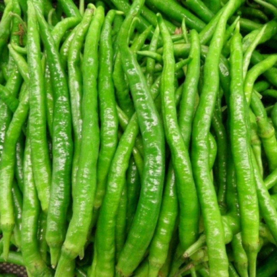 尖椒 约300g/份
