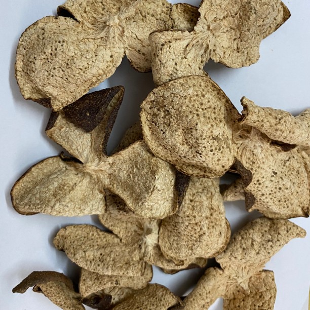 2016年梅江圈枝大红皮