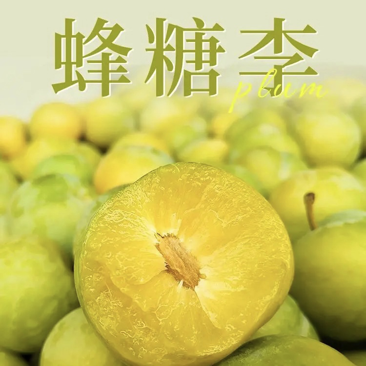 蜂糖李苗阳台花园盆栽地栽均可