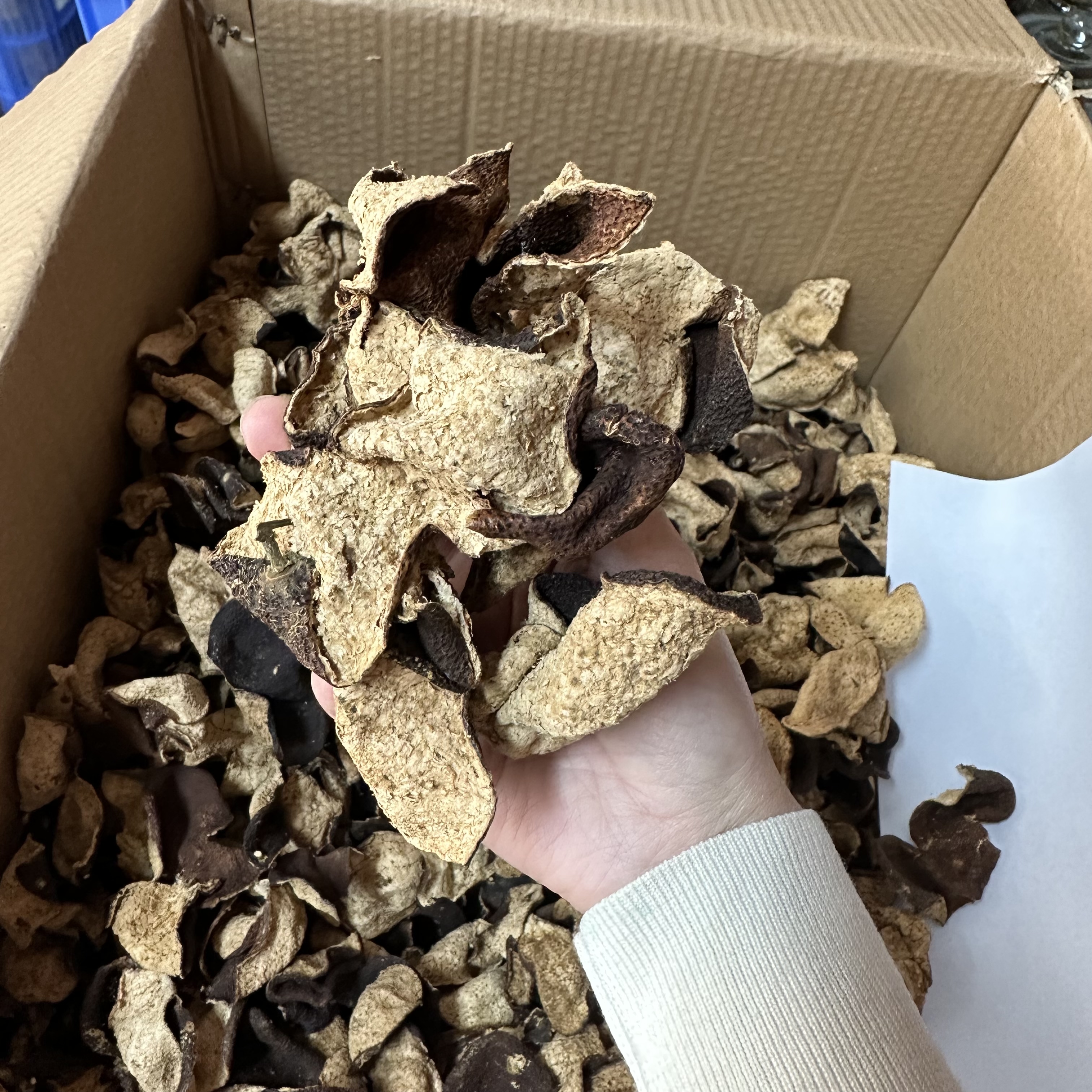 【代替链接666】岁月柑香新会陈皮 临时链接50g250g500g