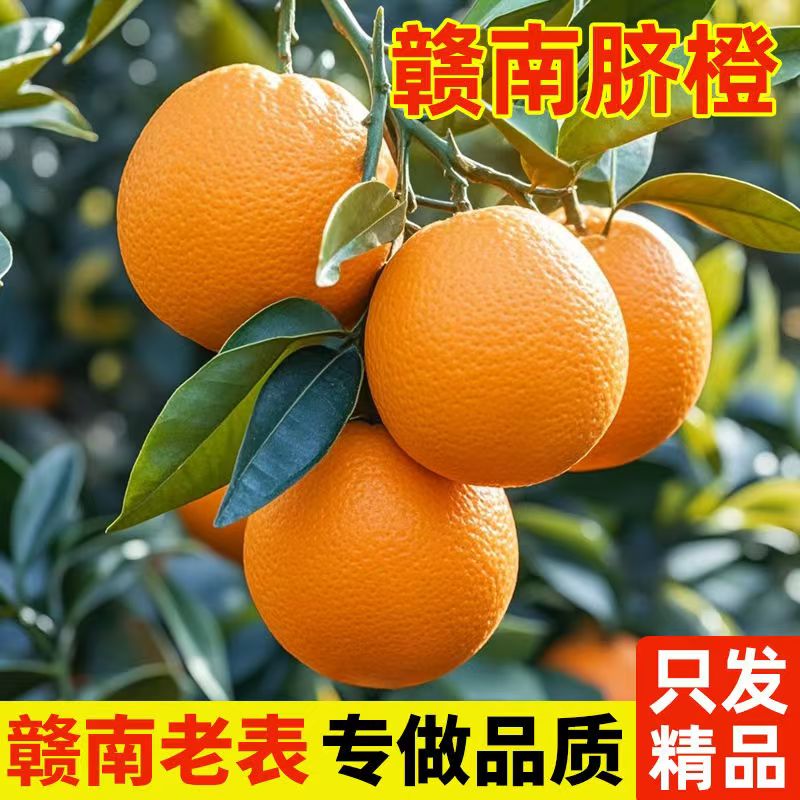 正宗赣南脐橙精品应季新鲜水果孕妇儿童薄皮橙子果园现摘现发甜橙