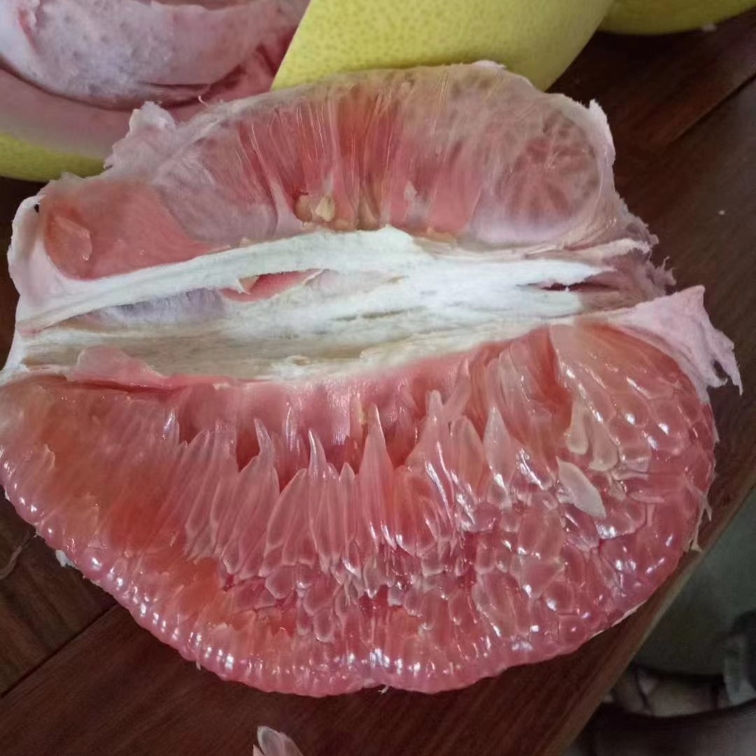 新鲜现货广西特产容县自良柚子老树水果蜜柚当季水果