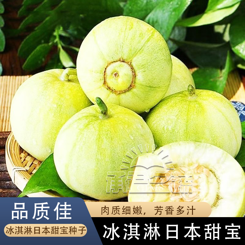 日本甜宝甜瓜种子薄皮香瓜种籽四季播种庭院盆栽农家瓜果蔬菜种子