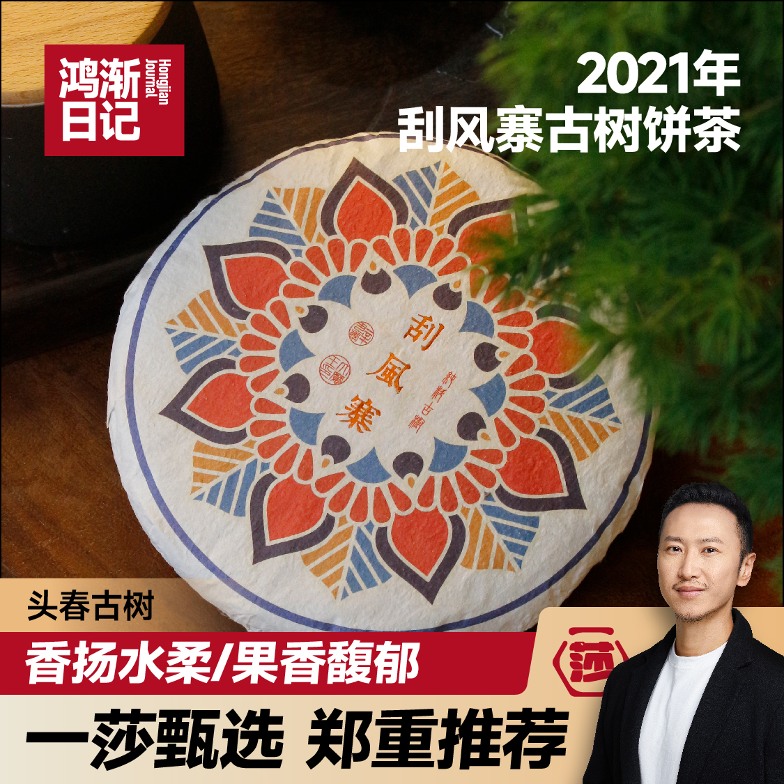 《鸿渐日记》刮风寨云南西双版纳纯料古树茶小叶种普洱茶生茶200克