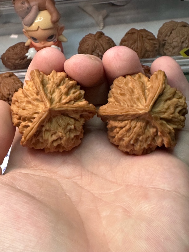 老树红皮矮桩盘山三棱