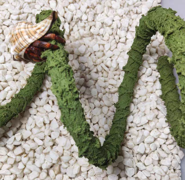 寄居蟹用品攀爬藤躲避屋水盆食盆