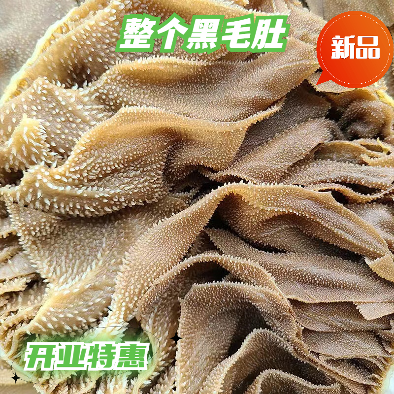 净重3斤  整个黑毛肚新鲜牛百叶千层肚商用火锅食材冰鲜生鲜处理