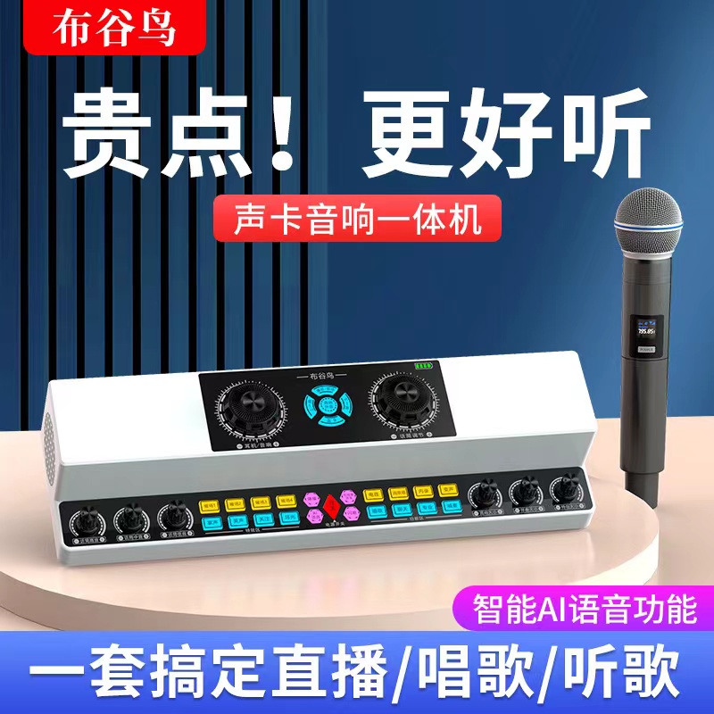 布谷鸟Y6 直播唱歌声卡音响一体机室内户外广场舞K歌无线蓝牙音箱