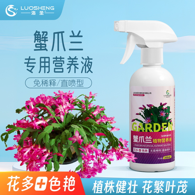 【蟹爪兰专用植物营养液】促进花开生根壮苗促进植物根茎叶健康生长