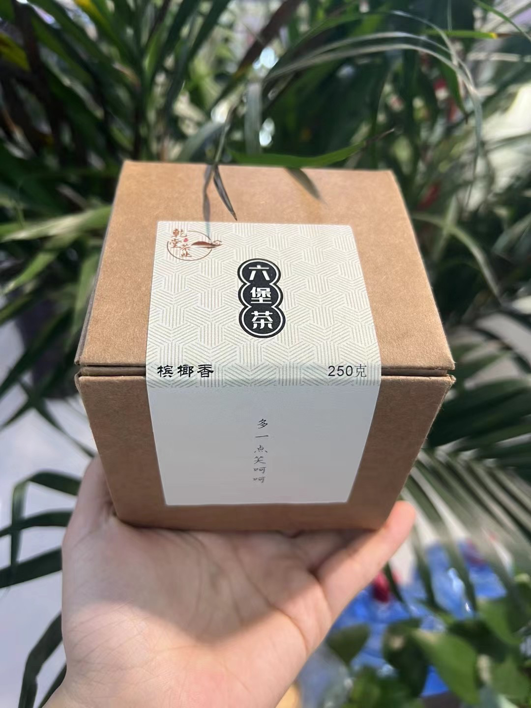 六堡茶 -2017年 250g装