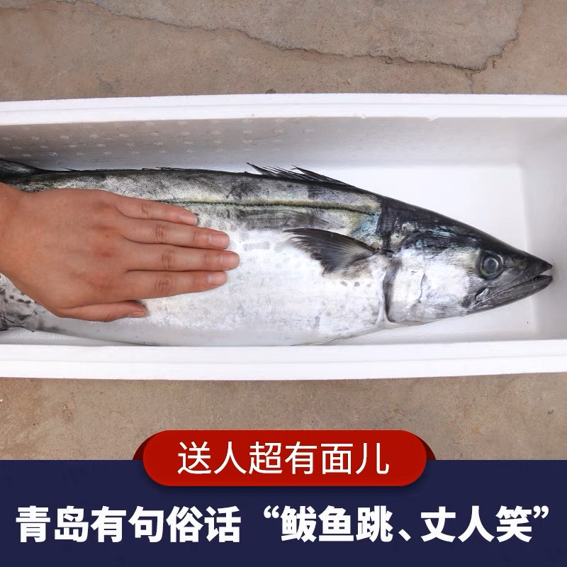青岛本港马鲛鱼大鲅鱼 默认切块抽真空【整条发货联系客服】